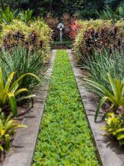 Botanical Garden of Recife