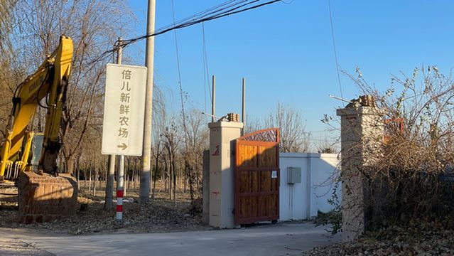 bei er xin xian cao mei cai zhai yuan