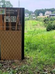 Shikisai no Mori Western Garden