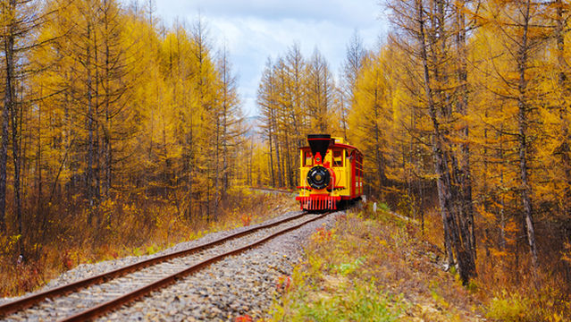 Forest Park Train Station