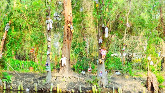 Island of the Dead Dolls