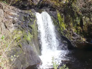 Ingleton Waterfalls Trail