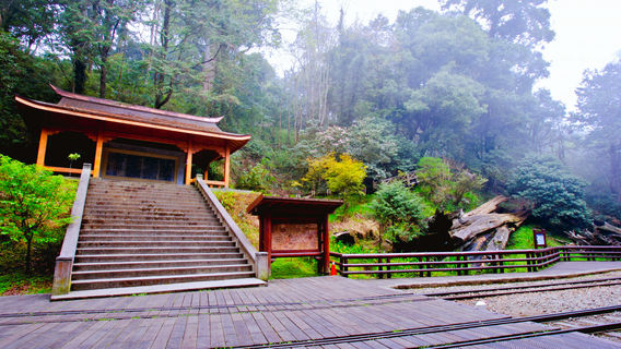 Alishan Shenmu Area