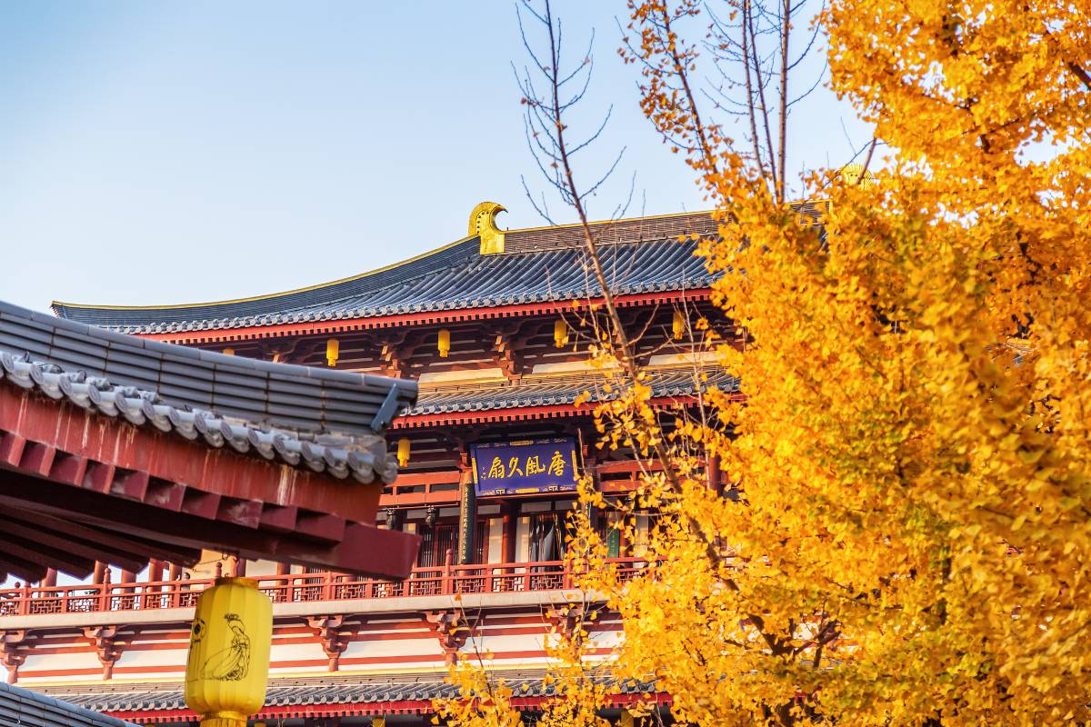 大唐芙蓉園についてよくある質問