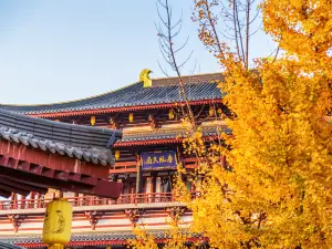 大唐芙蓉園