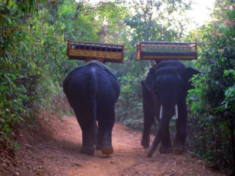 서울 출발 씨엠립 도착 비행시간