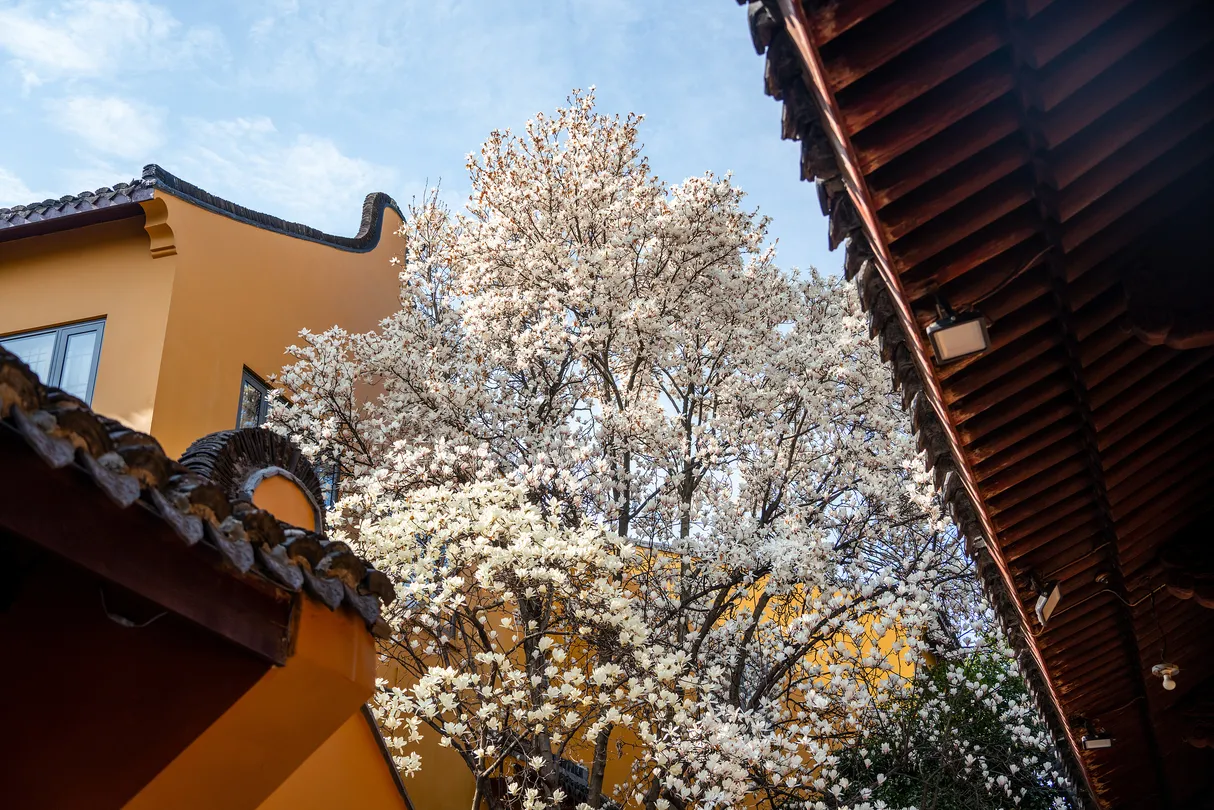 4_Longhua Temple