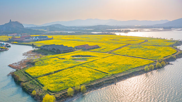 Suzhou Taihu Lake Wetland Park