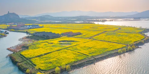 蘇州太湖國家濕地公園
