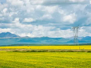 Jinyintan Grasslands
