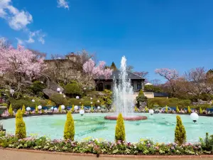 Popular Spring Outings in Ashigarashimo District