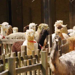 南昌動物園