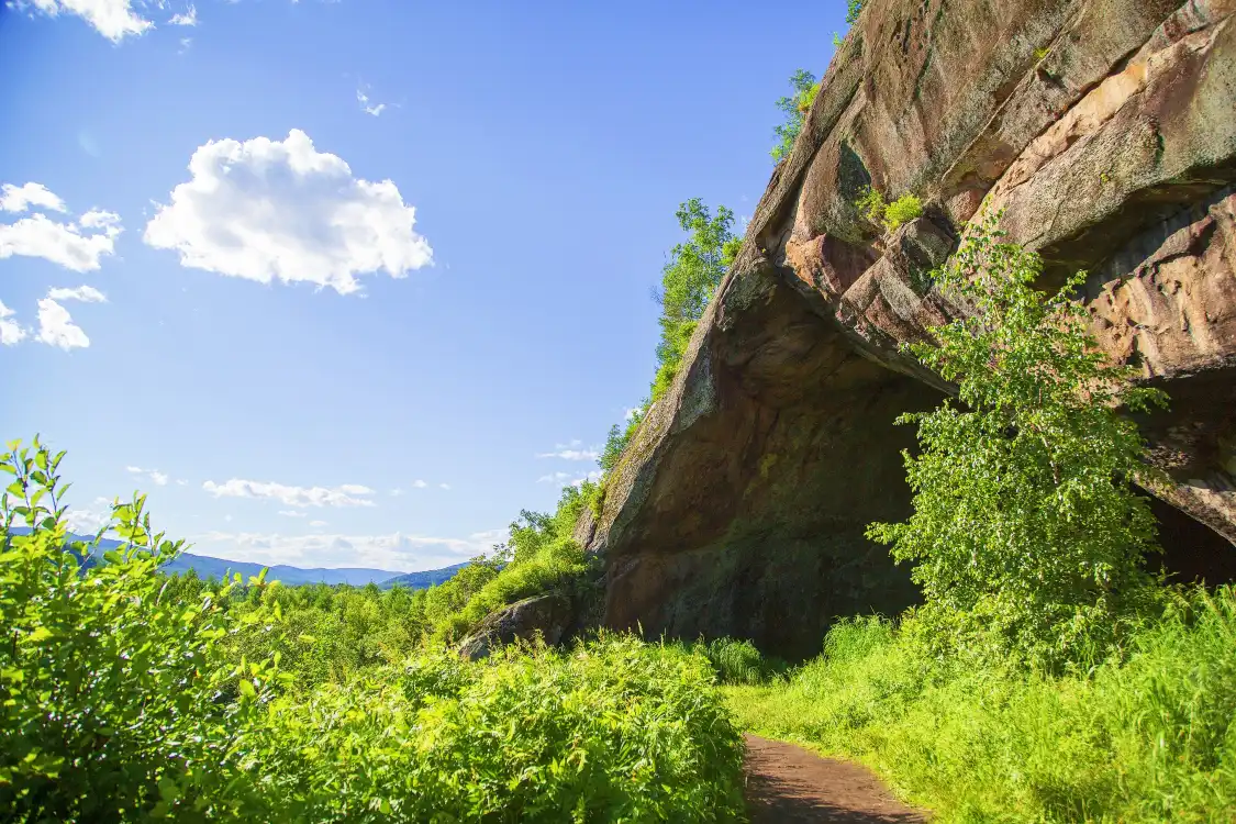 Hotels near Gaxiandong Forest Park