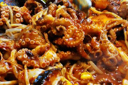 新章鱼韩料屋(山大店)