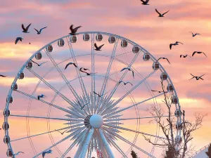 Niagara SkyWheel