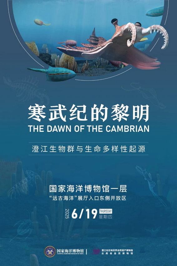 《寒武紀的黎明》澄江生物群與多樣性起源展 | 國家海洋博物館