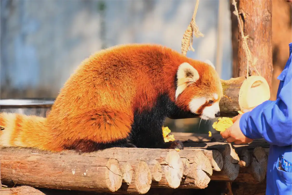 Hotels near Hefei Wildlife Park