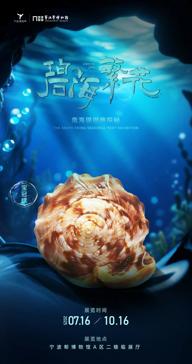 《碧海繁花——南海珊瑚礁探祕》特展 | 寧波博物院