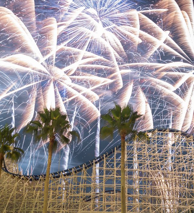 Nagashima Spa Resort Fireworks Competition | Kuwana