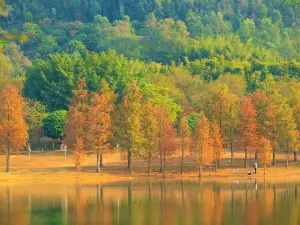 Popular Fall Viewing Attractions in Dongguan