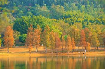 東莞的熱門遊賞秋景好去處