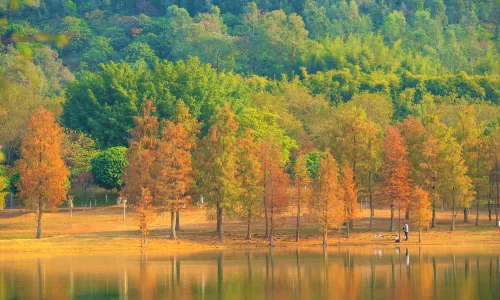 Songshan Lake