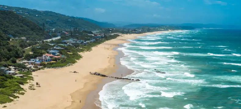 ワイルダーネスのホテル