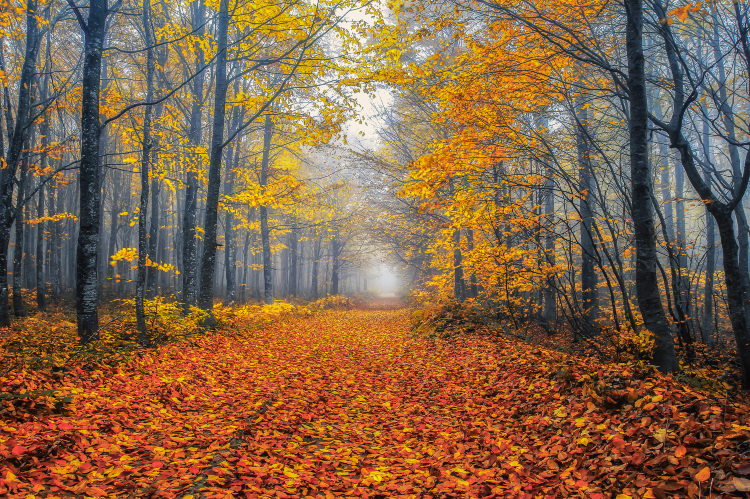 Popular Ski Resorts in Bursa