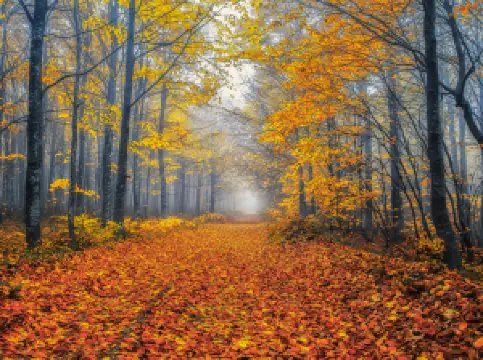 烏魯達國家公園