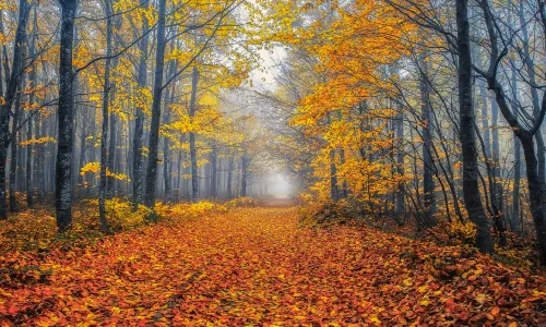Uludag National Park