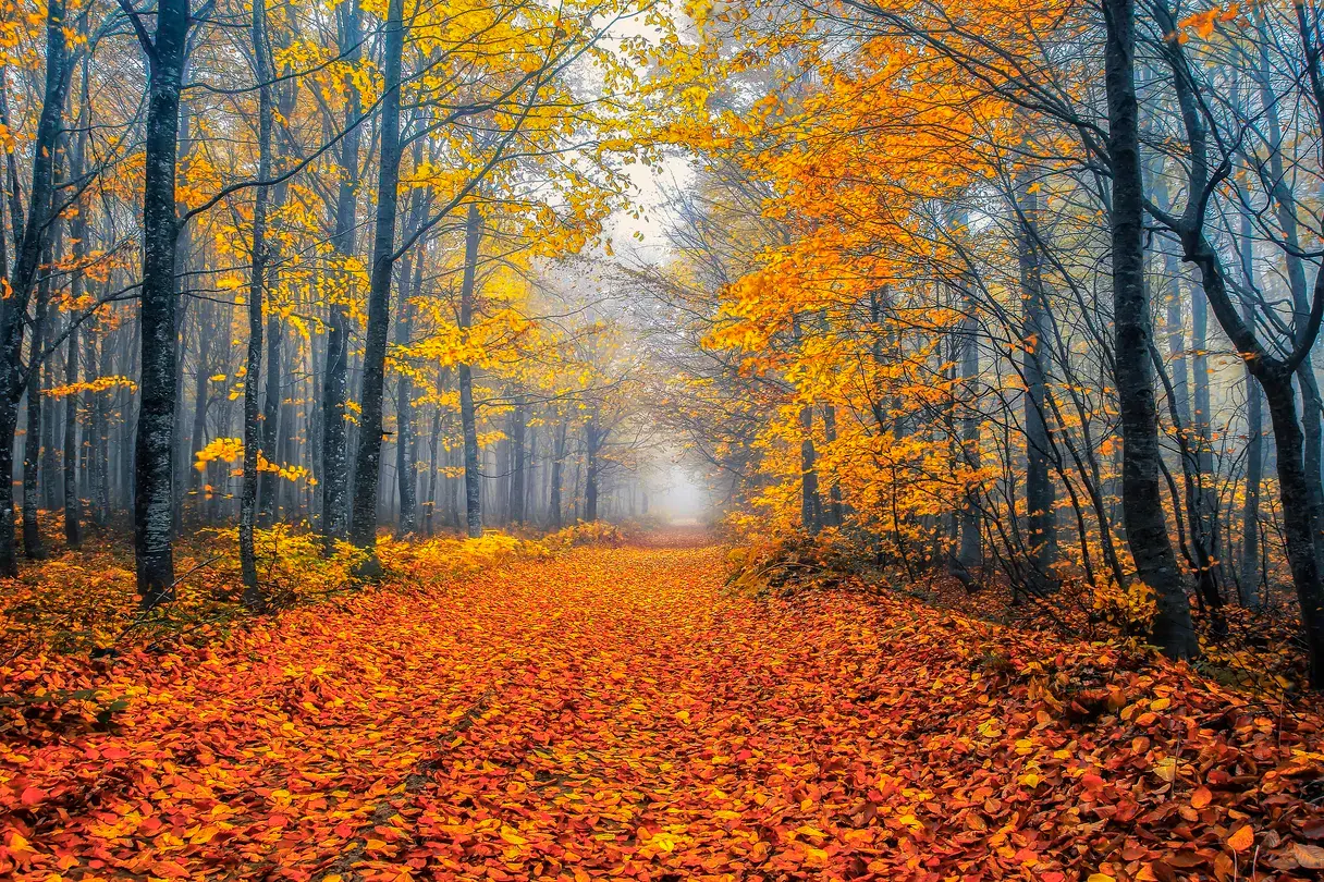 1_烏魯達國家公園