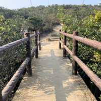 新手合家歡行山路線 遠眺港島東及九龍東景