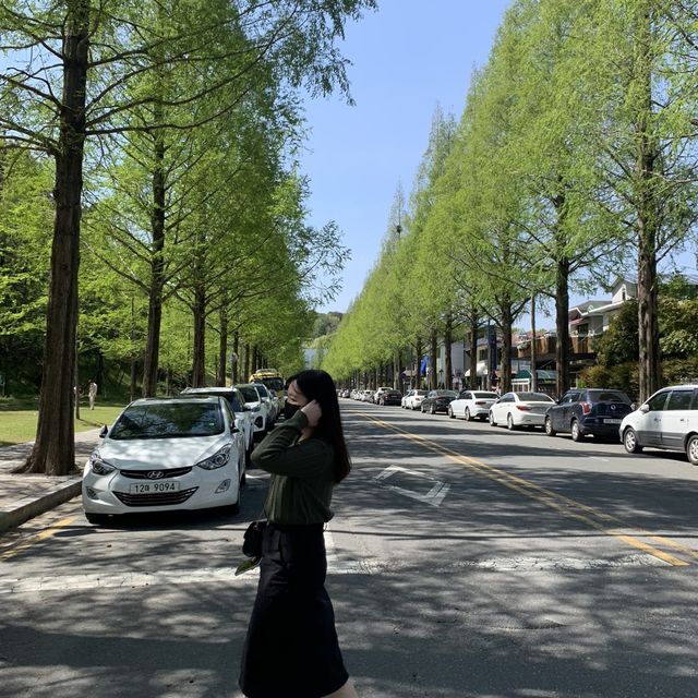 초록빛 창원