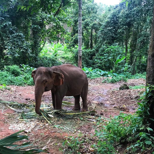 Koh Chang , a paradise on Earth 