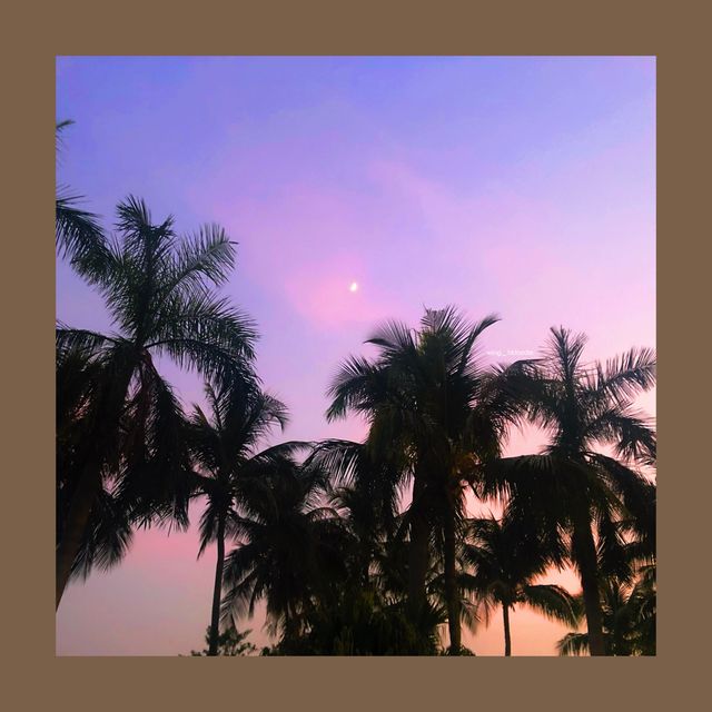 屯門真係好靚💜