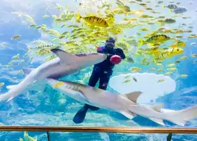Qingdao Underwater World