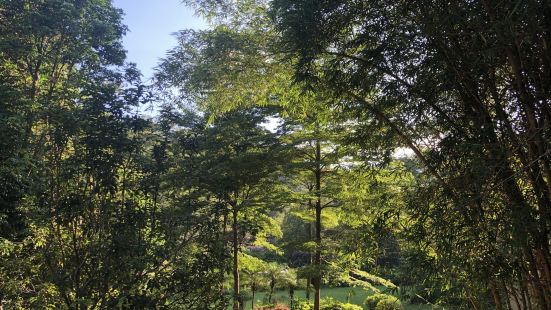 大西坑水库原址是知青农场，现在还有旧址供人参观。碧绿湖水的水