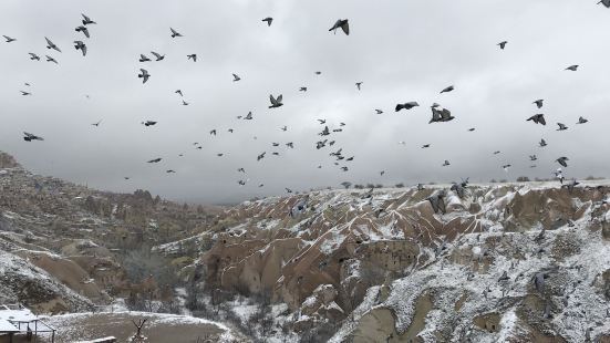 pigeon valley，顾名思义，就是有很多鸽子的山谷，