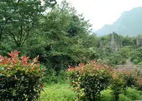 Shanwangping Stone Forest Scenic Area