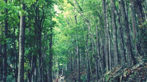 Guiyang Forest Park