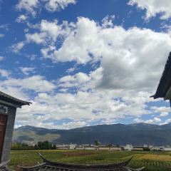 江尾田园火秋鱼 User Photo