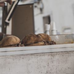 Tripperia Pollini張用戶圖片