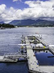 Harbour Air Seaplanes