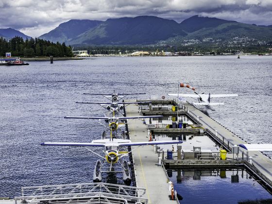 Harbour Air Seaplanes