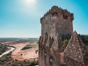 Castillo de Almodóvar del Río