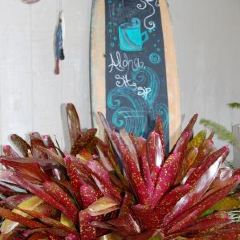 Ka Lae Coffee ảnh của người dùng