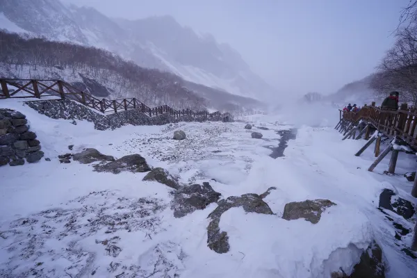 台北 飛 白山