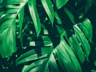 名護市 行程 規劃 3日2夜