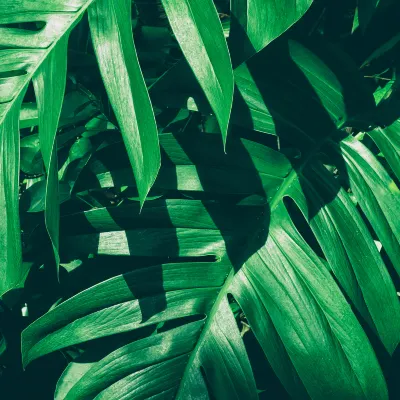 Отели рядом с достопримечательностью «»