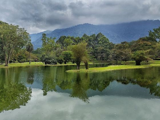 Nakajima Park